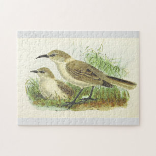 Zwei Vögel auf dem Boden Puzzle
