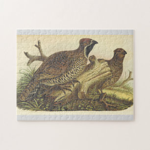 Zwei Vögel in der Nähe eines Baumzweigs Puzzle