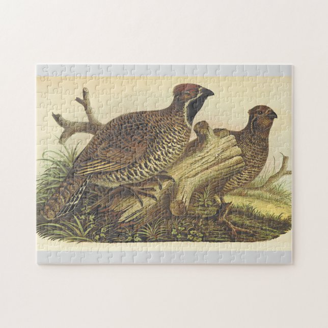 Zwei Vögel in der Nähe eines Rätsel Puzzle (Horizontal)