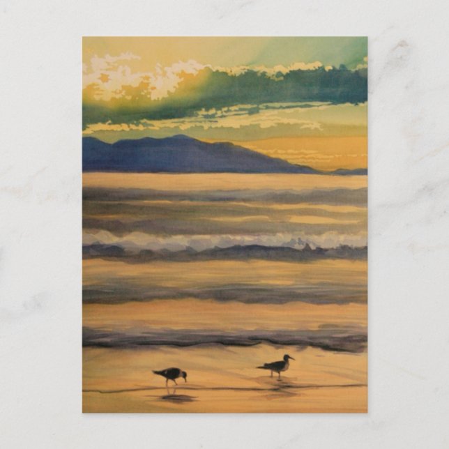 "Zwei von einer Art" Vögel auf dem Strand Wasserfa Postkarte (Vorderseite)