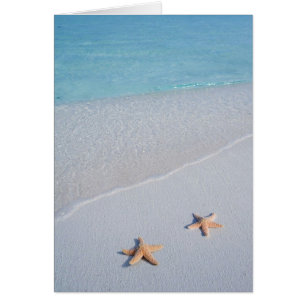 Zwei von uns   Liebe Starfish
