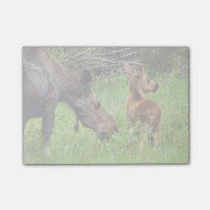 Zwei wachsame Elch-Mutter und Baby Post-it Klebezettel