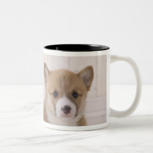Zwei Waliser Corgi-Sitzen Zweifarbige Tasse