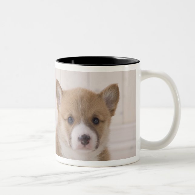 Zwei Waliser Corgi-Sitzen Zweifarbige Tasse (Rechts)