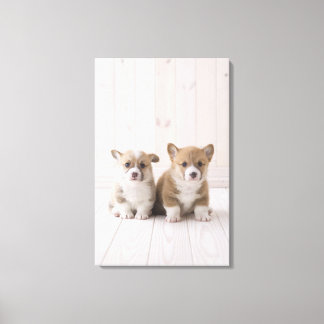 Zwei walisische Corgi-Sitze Leinwanddruck