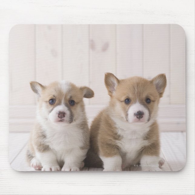 Zwei walisische Corgi-Sitze Mousepad (Vorne)