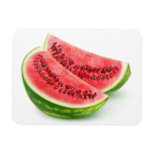 Zwei Wassermelonen Magnet