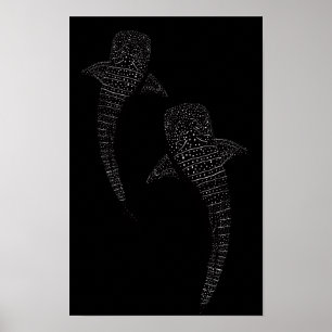 Zwei Weidenhaie Schwarz und Weiß Poster