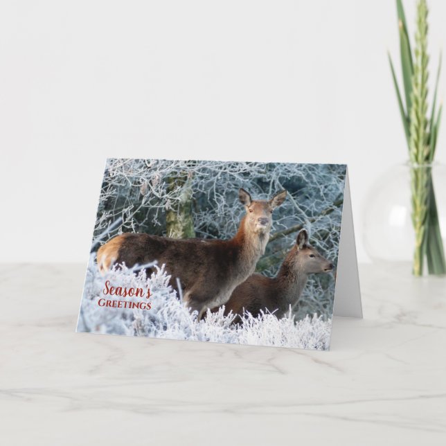 Zwei Weihnachtskarten für den Hirschschschnee Feiertagskarte (Vorderseite)
