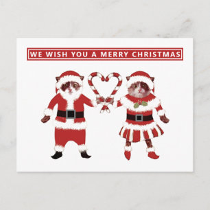 Zwei Weihnachtskarten für Katzen Postkarte