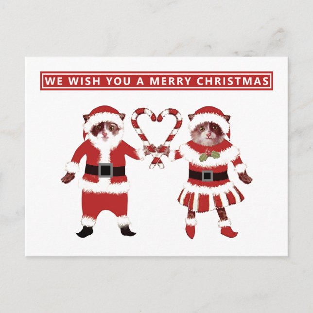 Zwei Weihnachtskarten für Katzen Postkarte (Vorderseite)