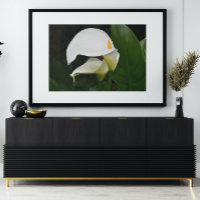 Zwei weiße Calla Lilies Blumengläser