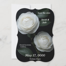 Zwei weiße Kamelien auf der schwarzen Flachkarte