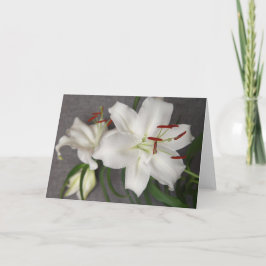 Zwei weiße Lilien-Karte Feiertagskarte