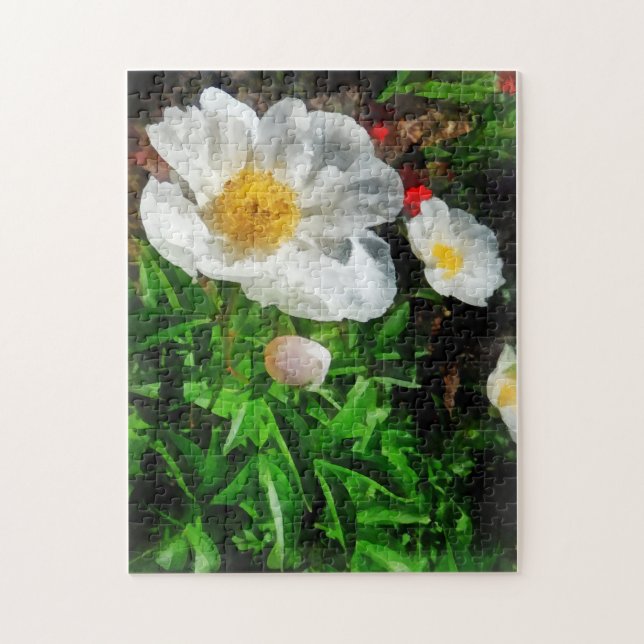 Zwei weiße Mohnblumen Puzzle (Vertikal)