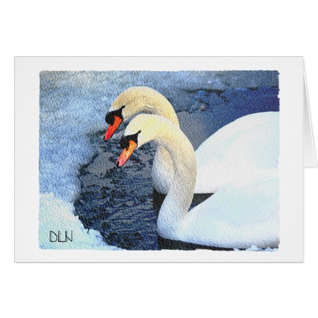 Zwei weiße Schwäne/Wildtiere/Aquarellbilder (Vorderseite (Horizontal))