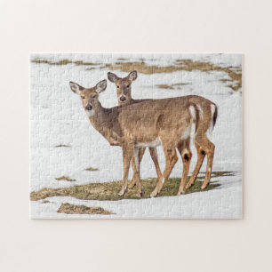 Zwei Weißschwänze Puzzle