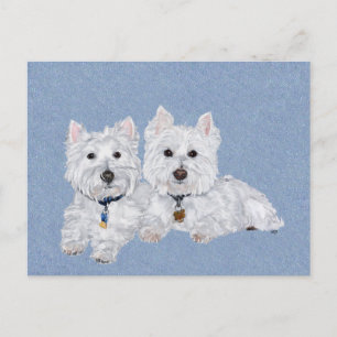 Zwei Westies Postkarte