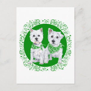 Zwei Westies sitzen am St. Patricks Tag Postkarte