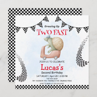 Zwei Wildschildkrötenfahrräder 2. Geburtstag Party