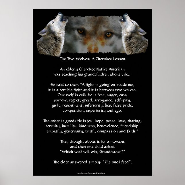 ZWEI WOLVES CHEROKEE STORY Wolf Poster (kleiner) (Vorne)