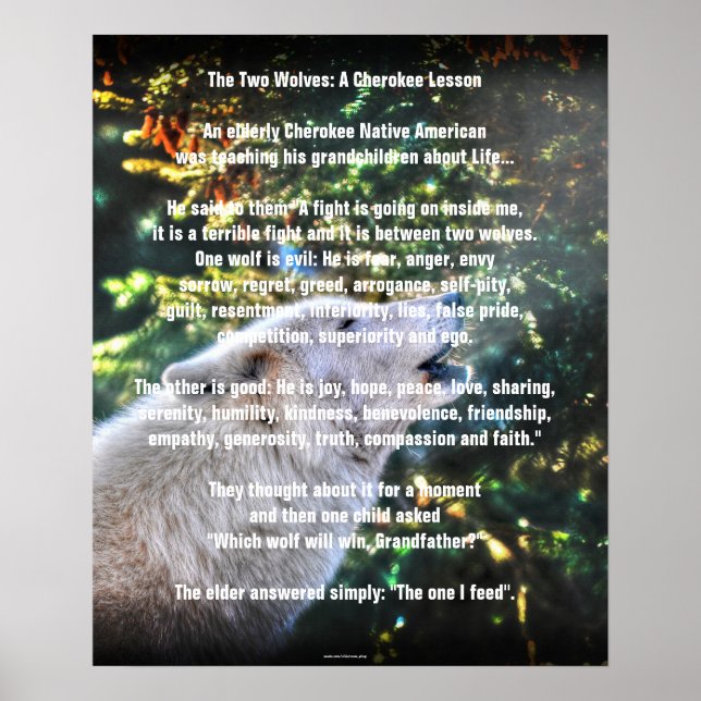 ZWEI WOLVES CHEROKEE TALE Art Poster (Vorne)