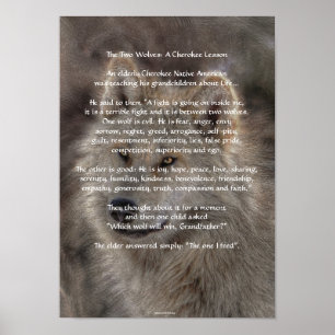 ZWEI WOLVES CHEROKEE TALE Art Poster
