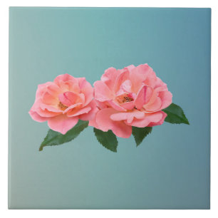 Zwei zarte rosa Rosen Fliese