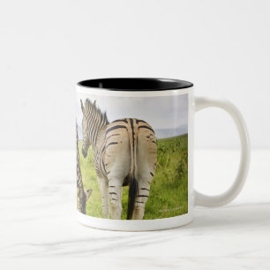 Zwei Zebras, Südafrika Zweifarbige Tasse