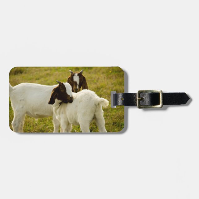 Zwei Ziegen Gepäckanhänger (Vorderseite horizontal)