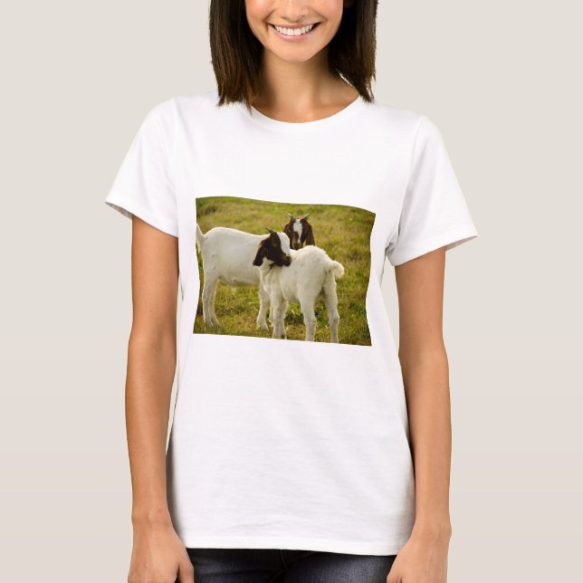Zwei Ziegen Niedlich T-Shirt (Vorderseite)