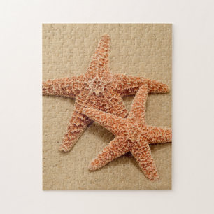 Zwei ZuckerStarfish Puzzle