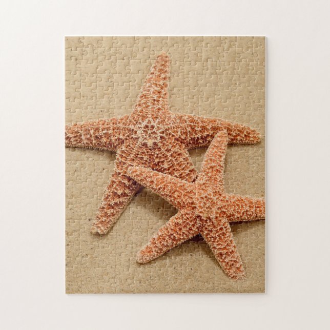 Zwei ZuckerStarfish Puzzle (Vertikal)