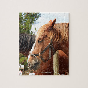 Zwei Zugpferde Puzzle