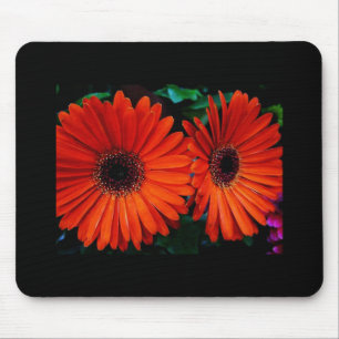 zweifarbige, orangefarbene Blume Mousepad