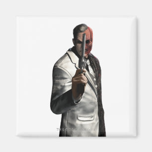 Zweifarbigkeit Magnet