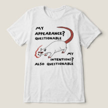 Zweifelhafte Erscheinung und Absichten