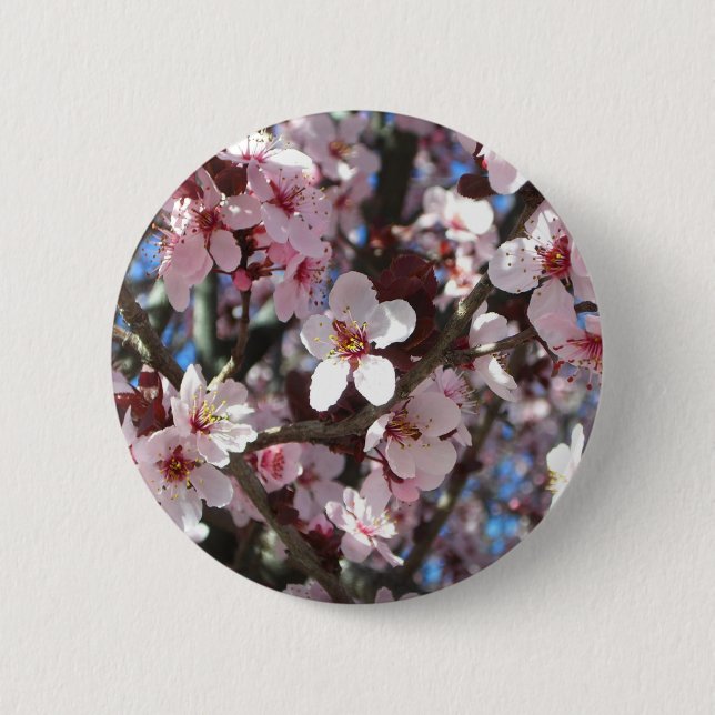 Zweig der rosa Blüten Frühlingsflora Button (Vorderseite)