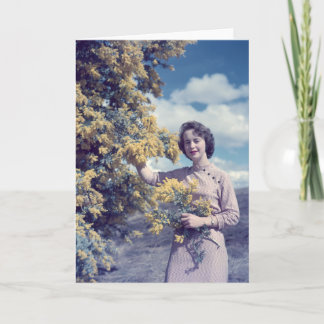 Zweig in Canberra - Retro Karte