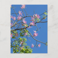 Zweig mit Blumen