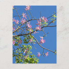 Zweig mit Blumen Postkarte