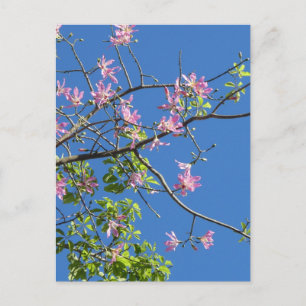Zweig mit Blumen Postkarte