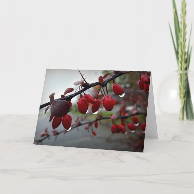 Zweig-Regen Karte (Vorderseite)