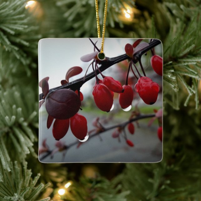 Zweig-Regen Keramikornament (Baum)