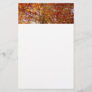 Zweige der Orangen Blätter Herbstnatur Briefpapier