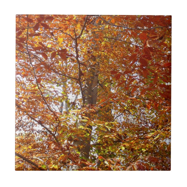 Zweige der Orangen Blätter Herbstnatur Fliese (Vorderseite)