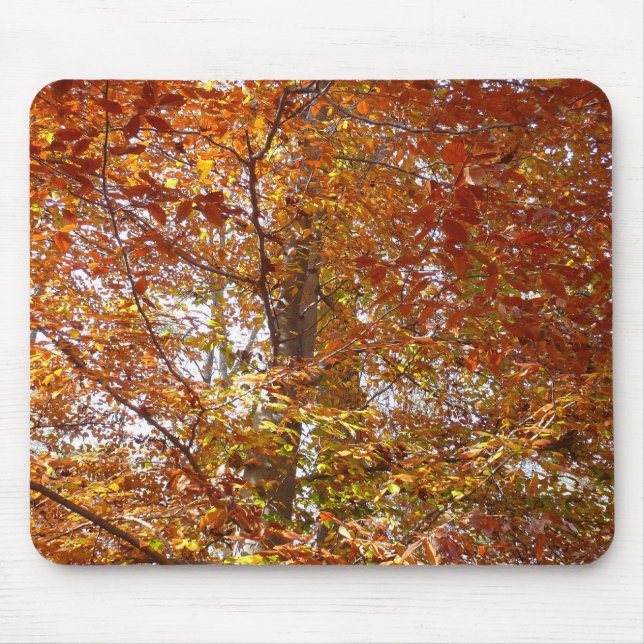 Zweige der Orangen Blätter Herbstnatur Mousepad (Vorne)