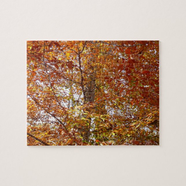 Zweige der Orangen Blätter Herbstnatur Puzzle (Horizontal)