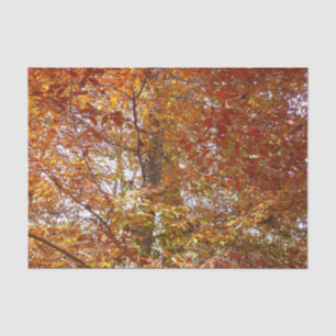 Zweige der Orangen Blätter Herbstnatur Seidenpapier