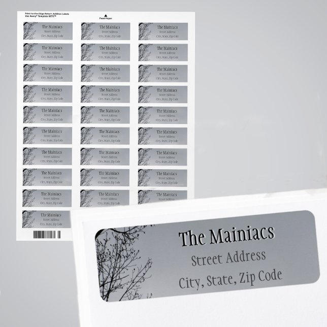 Zweige der schwarzen Silhouette Graue Rücksendeadr (Von Creator hochgeladen)